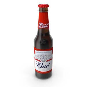 Bud Bouteilles 24x33cl
