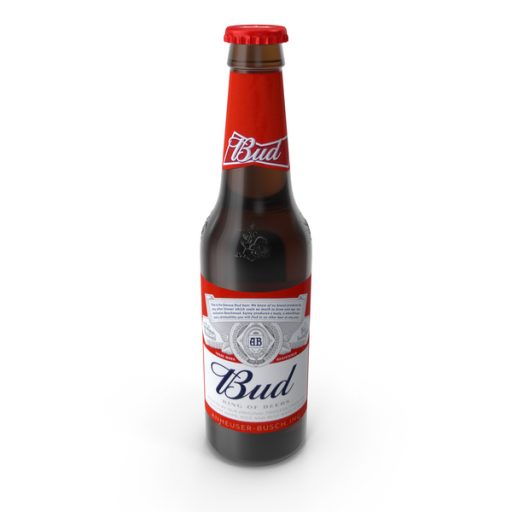 Bud Bouteilles 24x33cl
